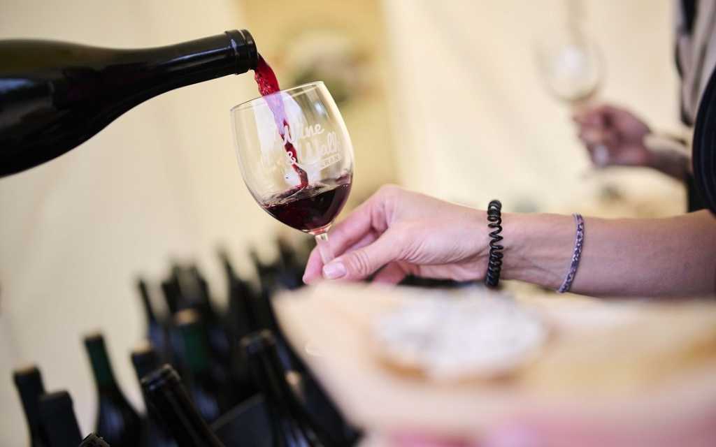 Prvo izdanje manifestacije Teran Wine&Walk u Motovun privuklo 500 zaljubljenika u ovu fantastičnu sortu